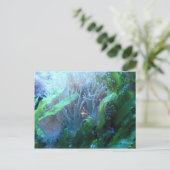 Koolvis Briefkaart (Staand voorkant)