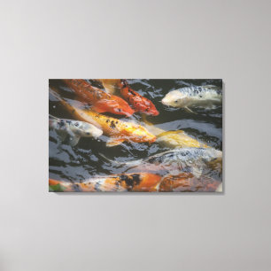 Koolvis Canvas Afdruk