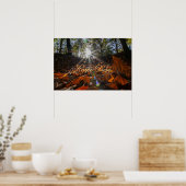 Koolvis Diem kleurrijke bladeren zonnebrand Poster (Keuken)