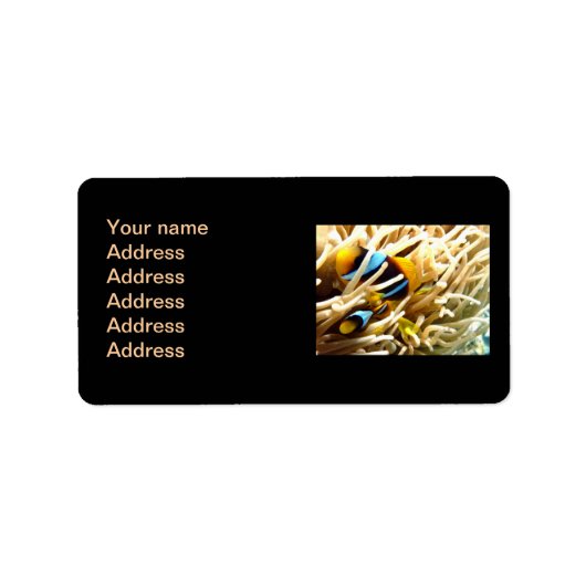 Koolvis Etiket (Voorkant)