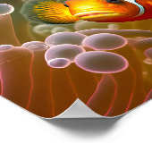 Koolvis in Zee Anemone Poster (Hoek)