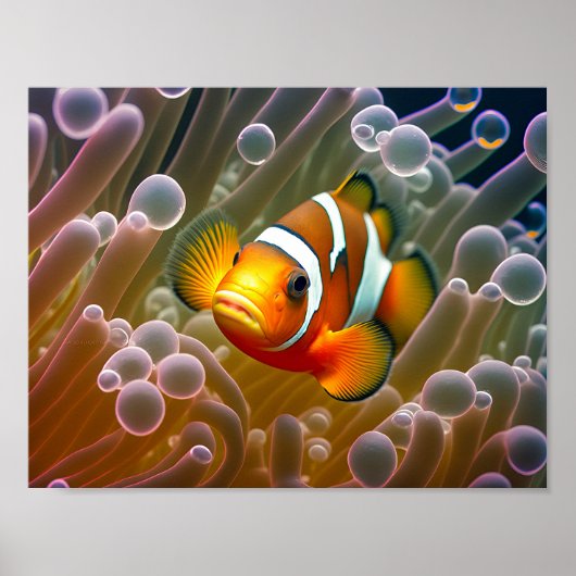 Koolvis in Zee Anemone Poster (Voorkant)