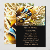 Koolvis Kaart (Voorkant / Achterkant)