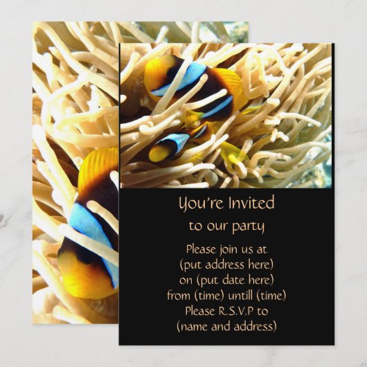 Koolvis Kaart (Voorkant / Achterkant)