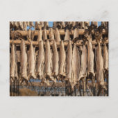 Koolvis Lofoten Briefkaart (Voorkant)