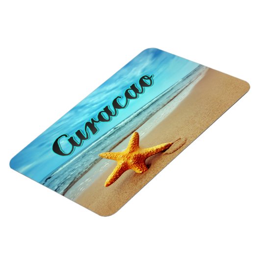 Koolvis Magneet (Linkerzijde)