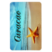 Koolvis Magneet (Verticaal)