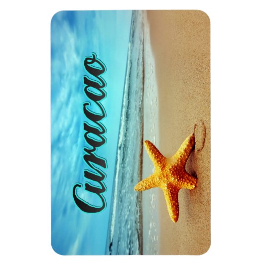 Koolvis Magneet (Verticaal)