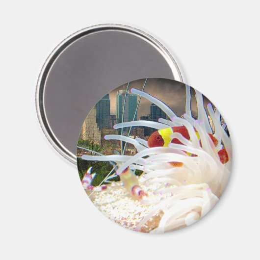 Koolvis Magneet (Voorkant / Achterkant)