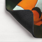 Koolvis Muismat (Hoek)