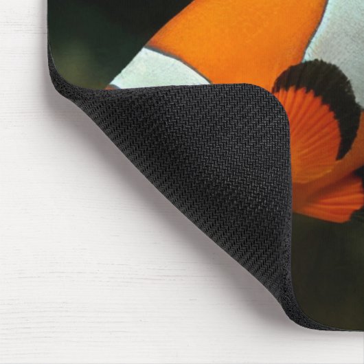 Koolvis Muismat (Hoek)