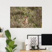 Koolvis Poster (Thuiskantoor)