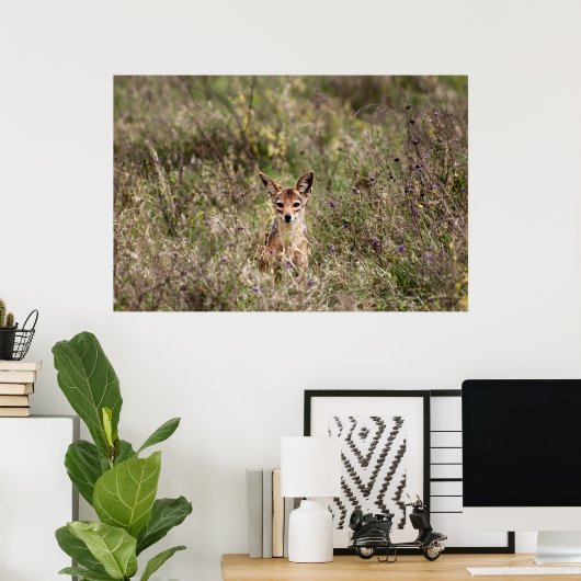 Koolvis Poster (Thuiskantoor)