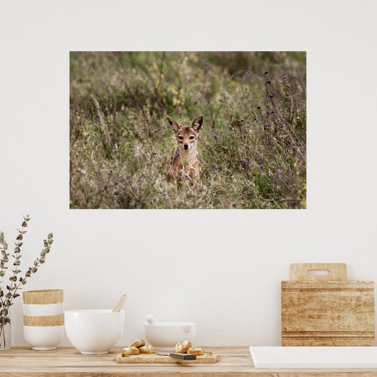 Koolvis Poster (Keuken)