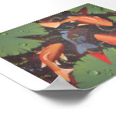 koolvis poster (Hoek)