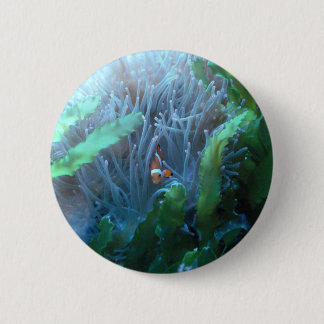 Koolvis Ronde Button 5,7 Cm