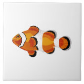 Koolvis Tegeltje (Voorkant)