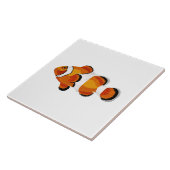 Koolvis Tegeltje (Zijkant)