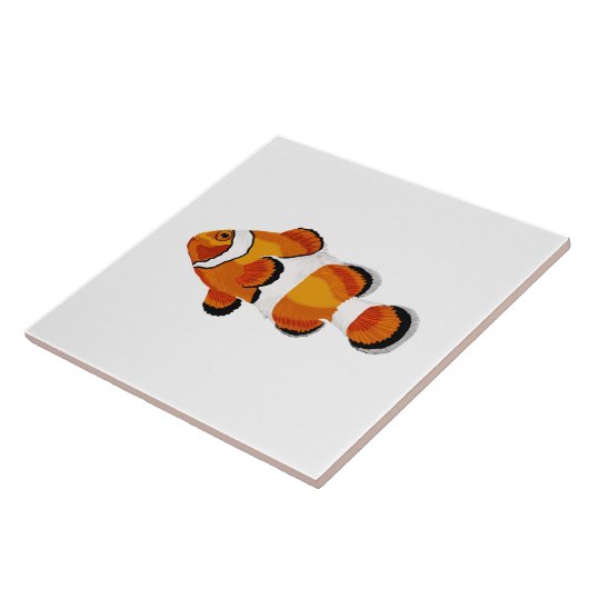 Koolvis Tegeltje (Zijkant)