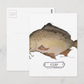 Koolvis, tongfernandes briefkaart (Voorkant / Achterkant)