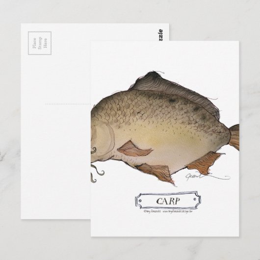 Koolvis, tongfernandes briefkaart (Voorkant / Achterkant)