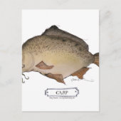 Koolvis, tongfernandes briefkaart (Voorkant)