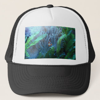 Koolvis Trucker Pet