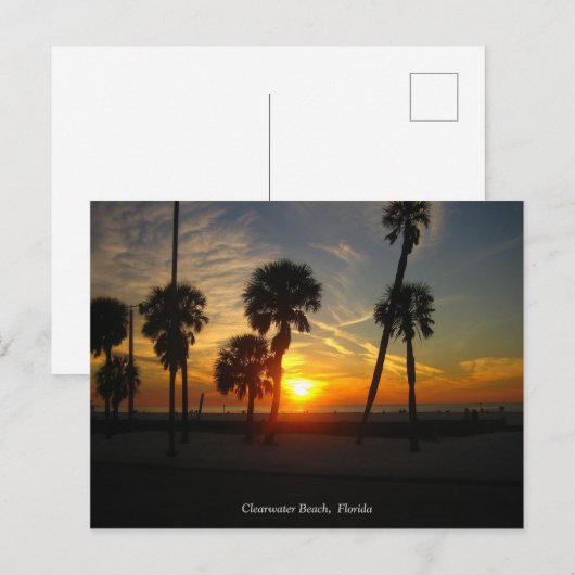 Koolwaterstrand Zonnevaste Briefkaart (Voorkant / Achterkant)