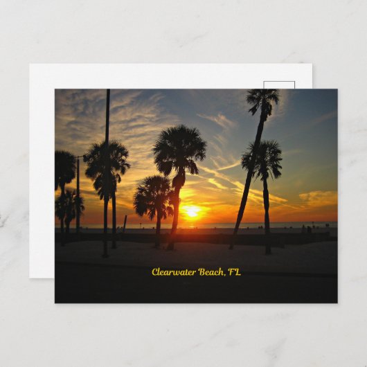 Koolwaterstrand Zonnezon Briefkaart (Voorkant / Achterkant)