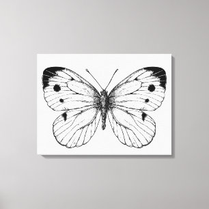 Koolwitje Canvas Afdruk