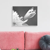 Koolwitje Op Cosmos In Zwart En Wit Canvas Afdruk (Insitu (Woonkamer))