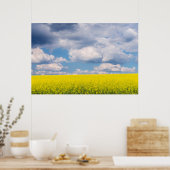 Koolzaadveld en wolken poster (Keuken)