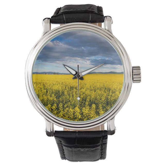 Koolzaadveld in het late avondlicht horloge (Voorkant)
