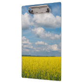 Koolzaadveld & wolken klembord (Links)