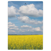 Koolzaadveld & wolken klembord (Achterkant)