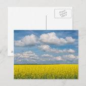 Koolzaakveld & Wolken Briefkaart (Voorkant / Achterkant)