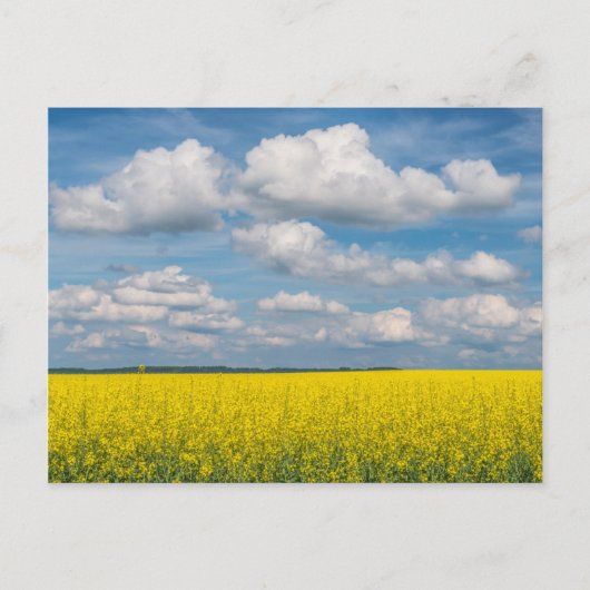 Koolzaakveld & Wolken Briefkaart (Voorkant)