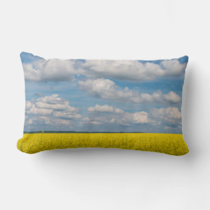 Koolzaakveld & Wolken Kussen
