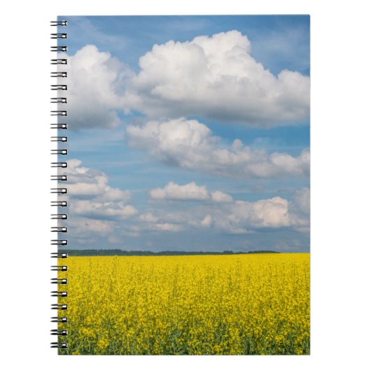 Koolzaakveld & wolken notitieboek (Voorkant)