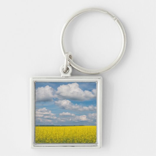 Koolzaakveld & Wolken Sleutelhanger (Voorkant)