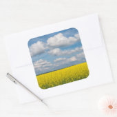 Koolzaakveld & Wolken Vierkante Sticker (Envelop)