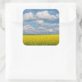 Koolzaakveld & Wolken Vierkante Sticker (Tas)