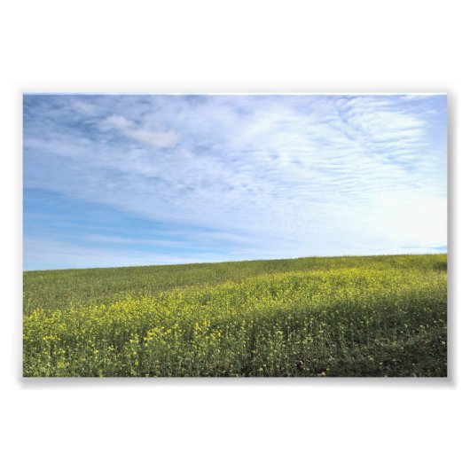 Koolzeveld - Foto Afdruk (Voorkant)