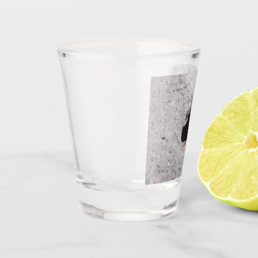 Koolzuurband Sheet glas (Links)