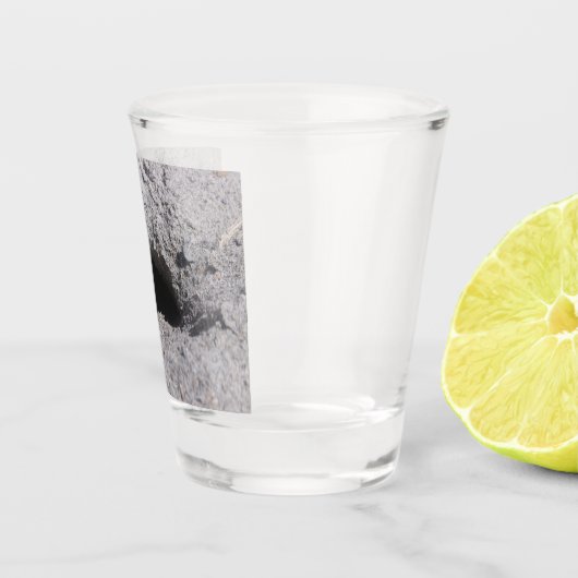 Koolzuurband Sheet glas (Rechts)