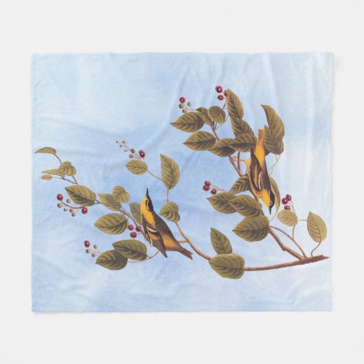 Koolzuurkool Fleece Deken (Voorkant (Horizontaal))