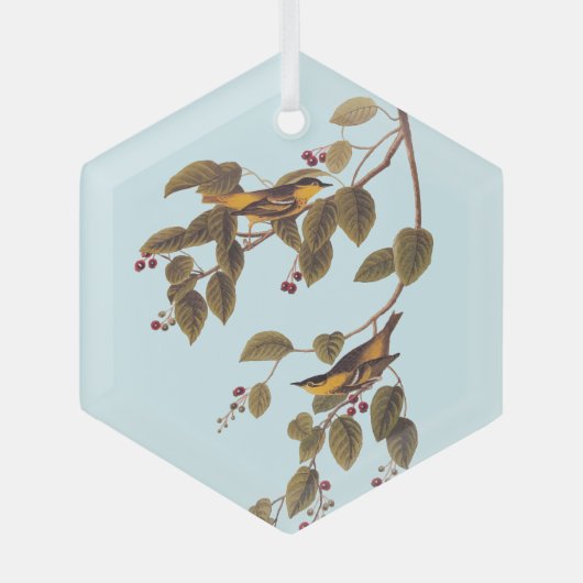 Koolzuurkool Glas Ornament (Voorkant)