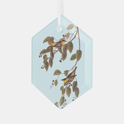 Koolzuurkool Glas Ornament (Voorkant links)