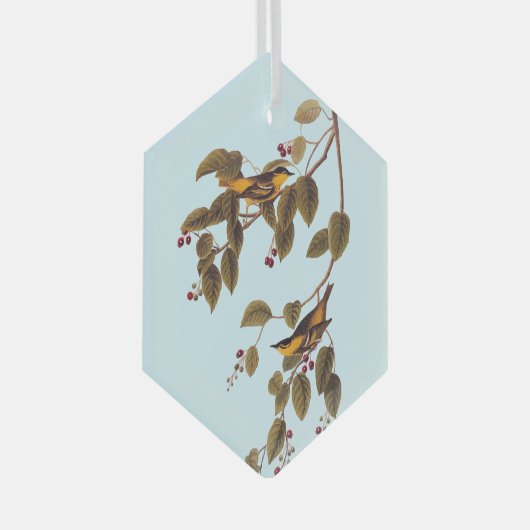 Koolzuurkool Glas Ornament (Voorkant Rechts)