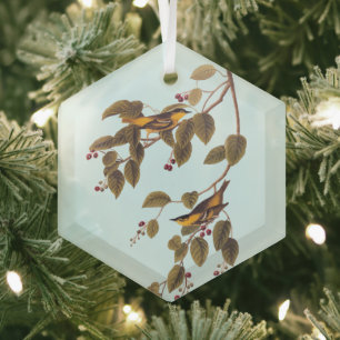 Koolzuurkool Glas Ornament